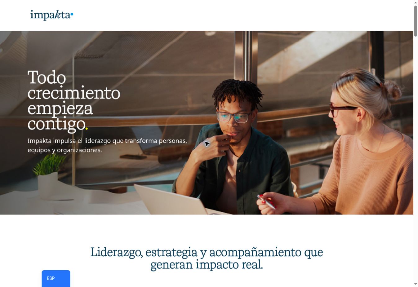 Vista del sitio web de Impakta
